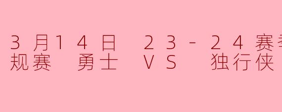 3月14日 23-24赛季NBA常规赛 勇士 VS 独行侠